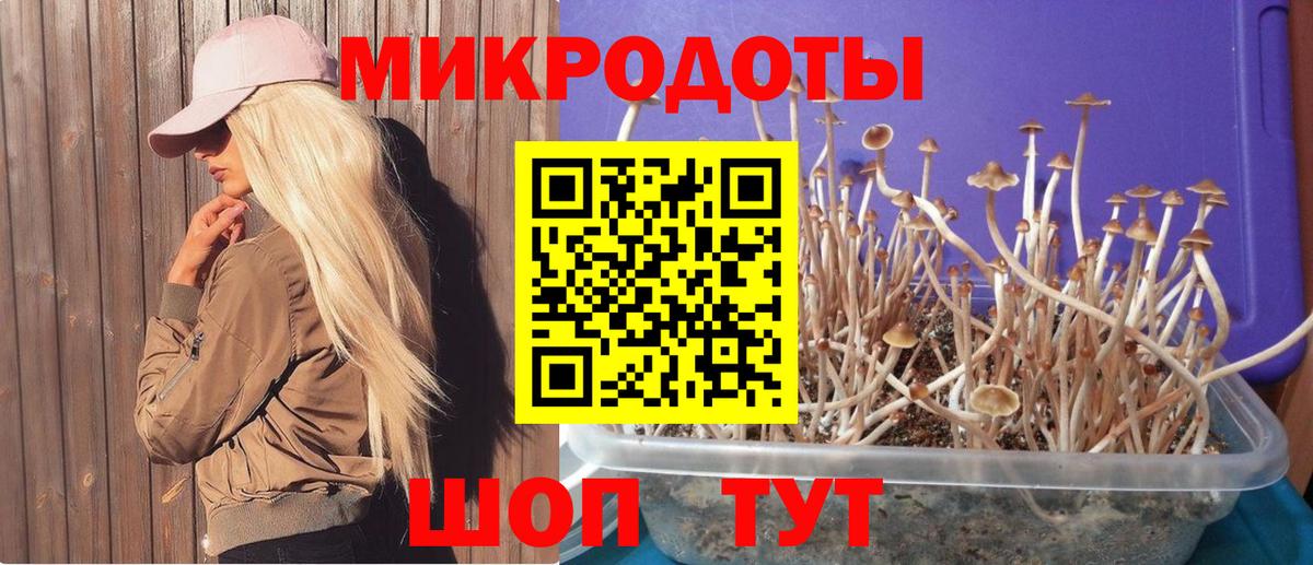 Галлюциногенные грибы прущие грибы  Вход с VPN  Галлюциногенные грибы Psilocybine cubensis  Карасук 