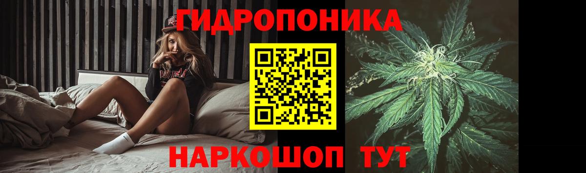 Бошки марихуана OG Kush Карасук
